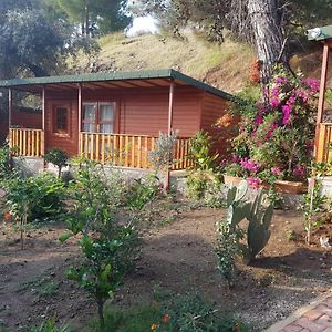 Ipek Hotel Camyuva